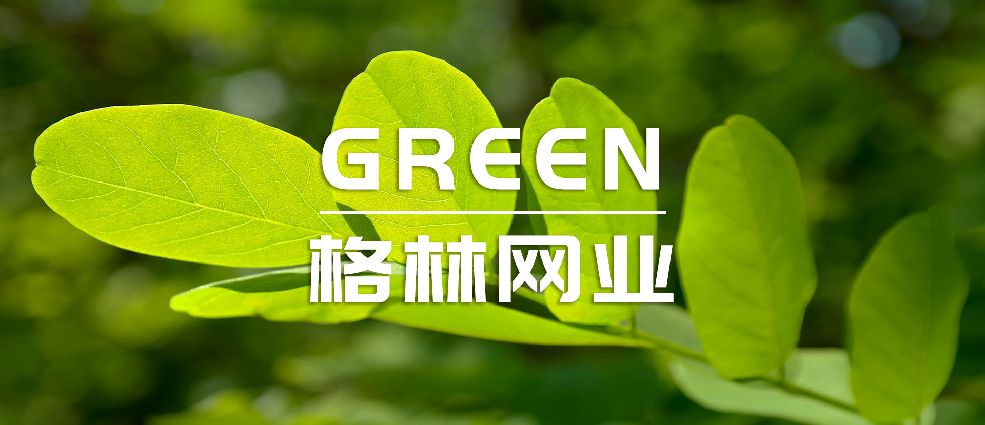 常州格林網(wǎng)業(yè)有限公司