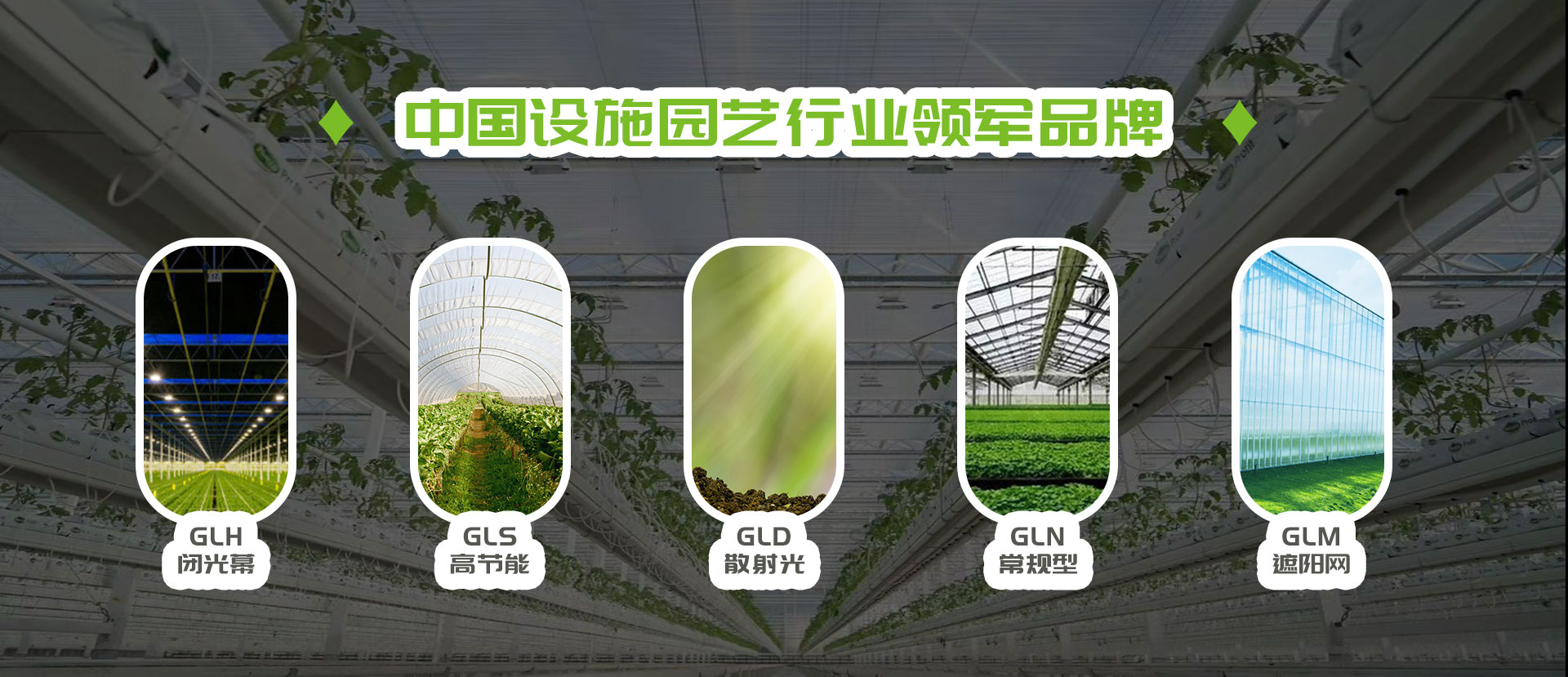 常州格林網(wǎng)業(yè)有限公司