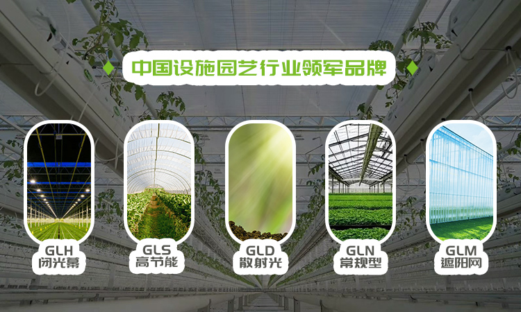 常州格林網(wǎng)業(yè)有限公司